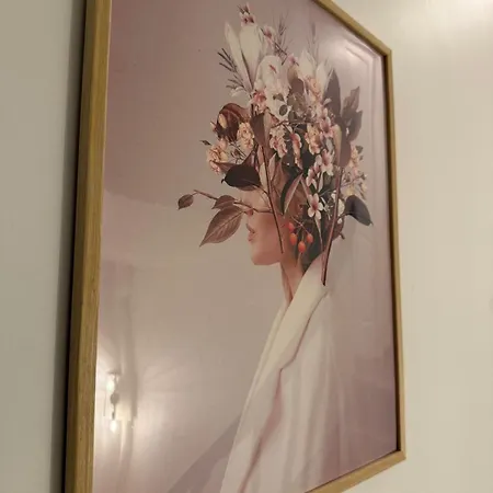 Ohana De Charme Appartement Château-Gontier